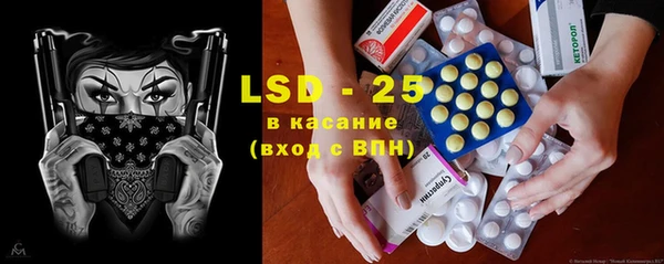 спиды Новодвинск