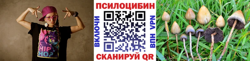 Купить закладки  Ревда  Псилоцибиновые грибы GOLDEN TEACHER 